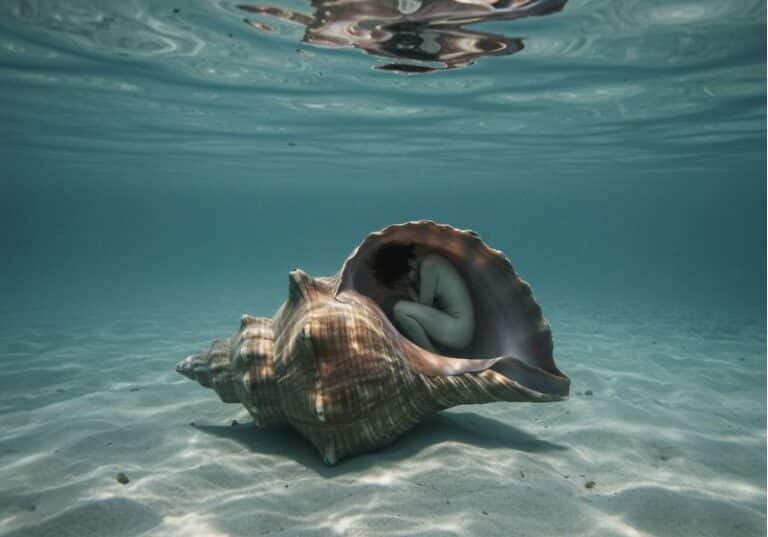 A imagem mostra uma cena subaquática profundamente simbólica e poética: no fundo do mar, repousa uma concha gigante, de aparência realista, com texturas naturais e tons terrosos. Dentro dela, há uma pessoa nua em posição fetal, com o corpo curvado e os braços envolvendo os joelhos, como se buscasse proteção ou consolo. A luz do sol filtra suavemente pela superfície da água, criando um ambiente sereno, silencioso e melancólico. O fundo é de areia clara, sem distrações, reforçando a sensação de isolamento, introspecção e reclusão. A imagem evoca fortemente a ideia de vulnerabilidade, refúgio e esquecimento — uma metáfora visual poderosa da vida de pessoas com deficiência ou em situações de invisibilidade social.